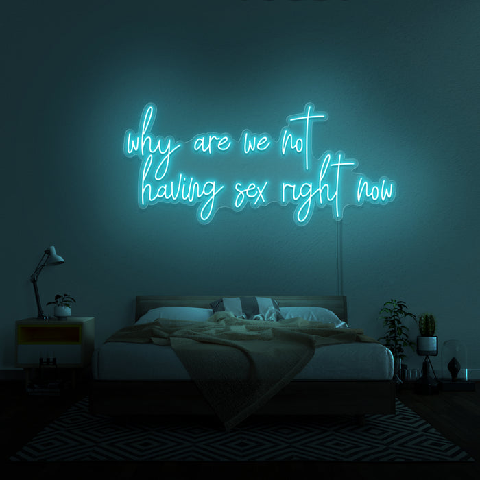 'Why Are We Not Having Sex Right Now' Neon Sign
