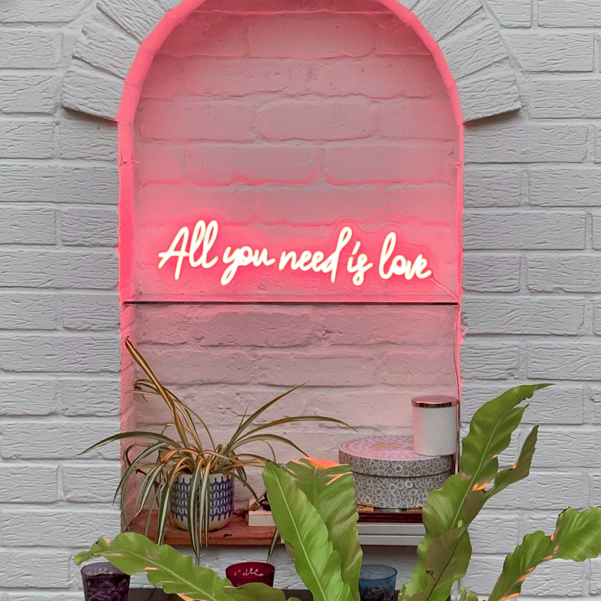 Your Dream Neon is Here — The Neon Sign Co