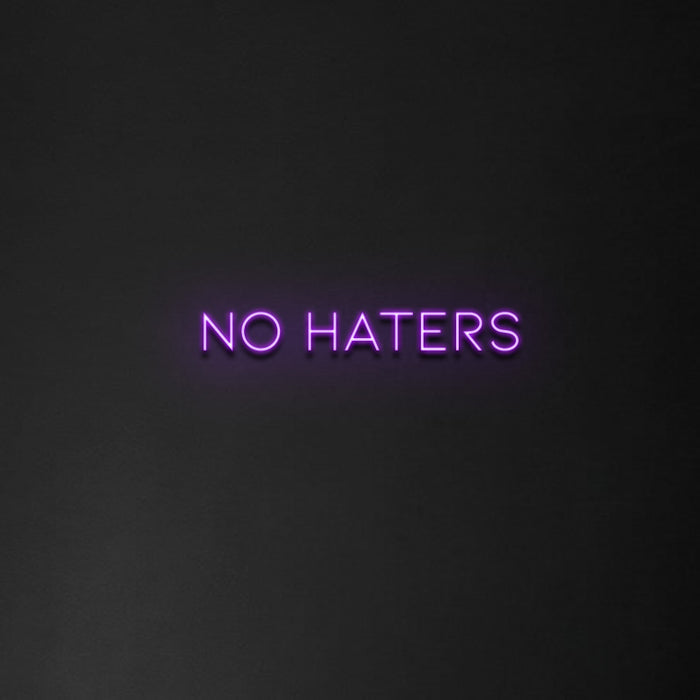 'No Haters' Neon Sign