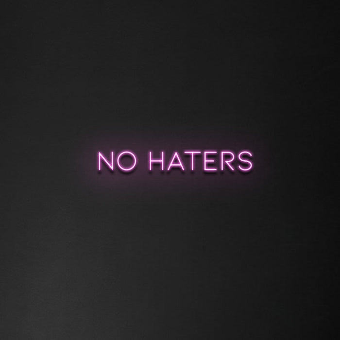 'No Haters' Neon Sign