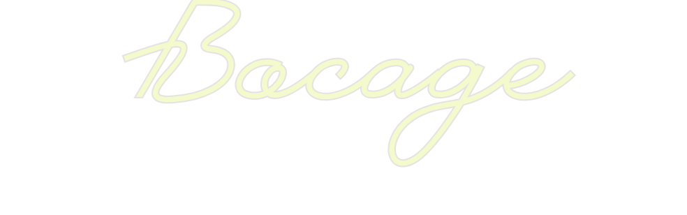 Custom Neon: Bocage