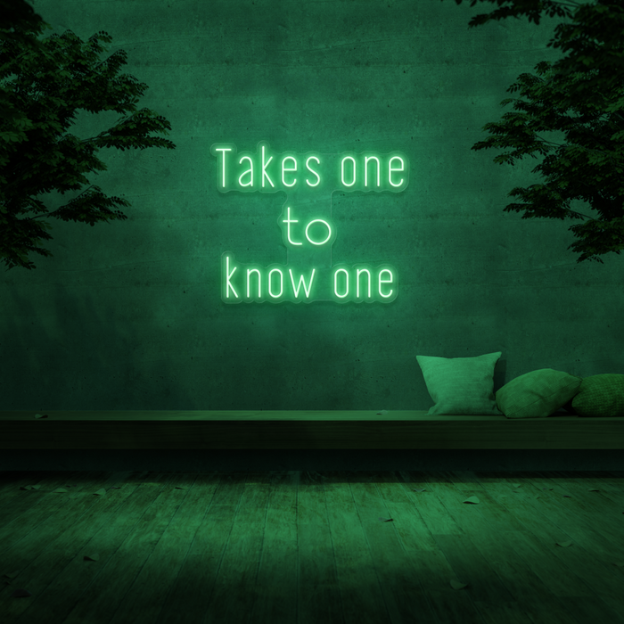 'Takes One To Know One' Neon Sign
