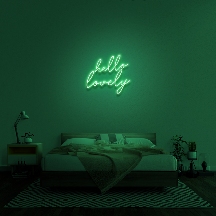 'Hello Lovely' Neon Sign