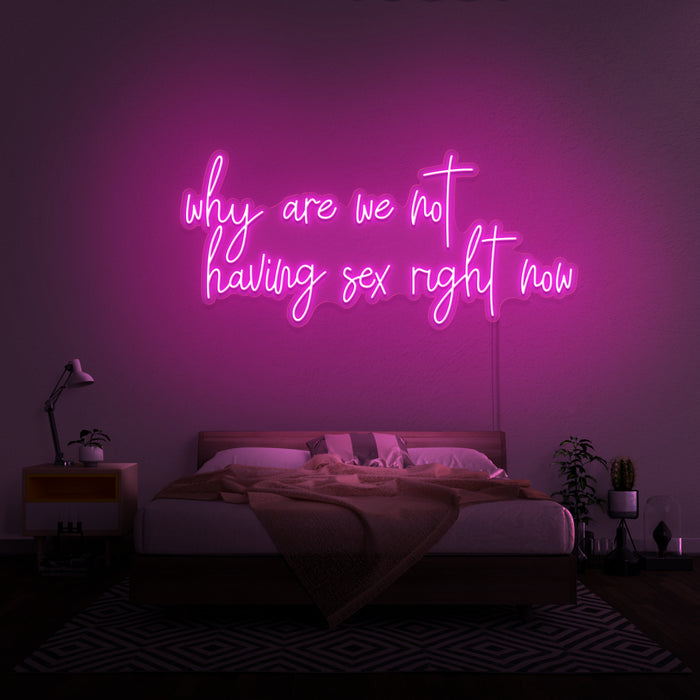 'Why Are We Not Having Sex Right Now' Neon Sign