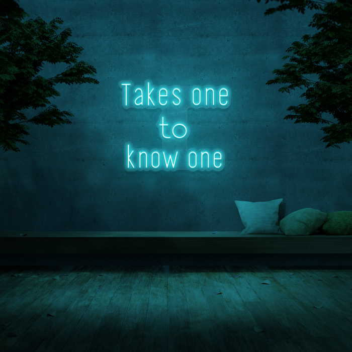 'Takes One To Know One' Neon Sign