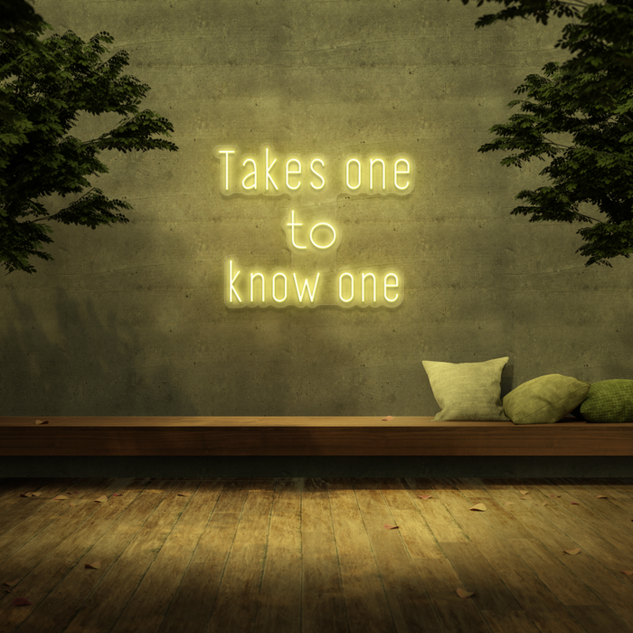 'Takes One To Know One' Neon Sign